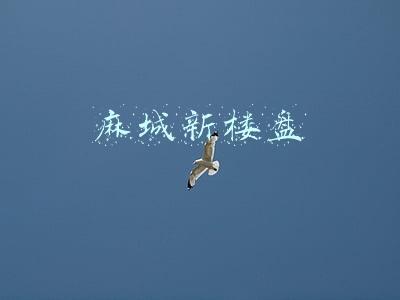 麻城新楼盘