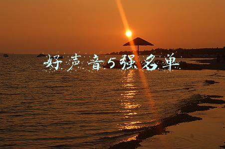 好声音5强名单