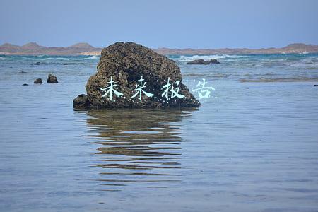我们共同的未来报告(联大就《我们的共同议程》报告进行审议)