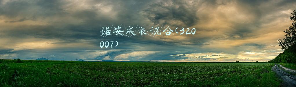 诺安成长混合(320007)怎么样(基金测评：诺安成长混合，适不适合基金新手长期持有呢？)