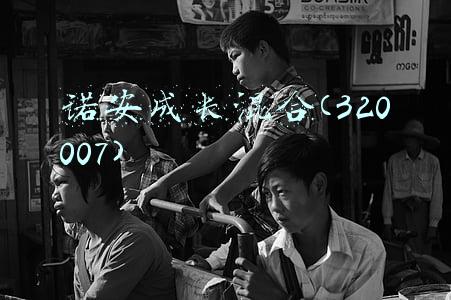 诺安成长混合(320007)历史净值(半导体大爆发“热搜基”又活了！刚刚，诺安成长（320007）净值更新：1.9040，日涨幅8.74%)