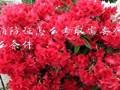 消防证怎么考取需要什么条件