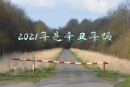 2021年是辛丑年吗