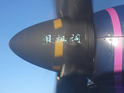目组词两个字(一年级语文下册识字3《小青蛙》知识点)
