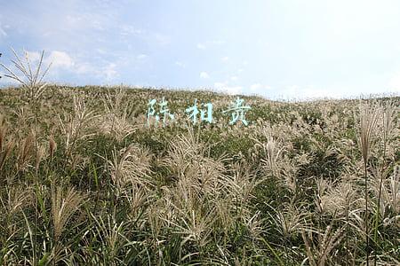 陈相贵省一半超市合法吗(关于非法集资，这些你应该知道！)