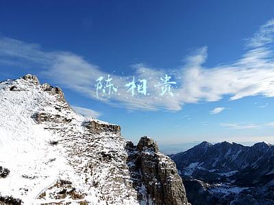 陈相贵