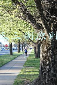 三三制原则名词解释(军事单位的叠加为何是“×3”？三三制可攻可守，就是缺点也不小)