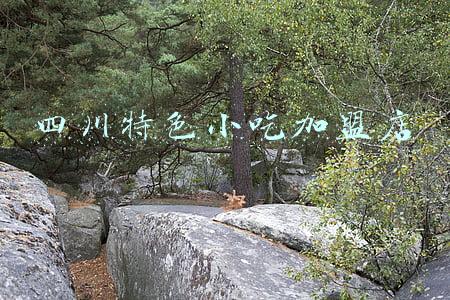 四川小吃店加盟连锁排行榜(2020成都苍蝇馆子50强榜单｜吃出生命力)