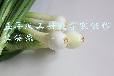 五年级上册数学寒假作业答案人教版(五年级数学《寒假作业》北师大版（附答案）)