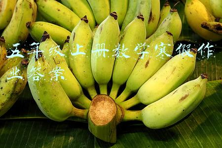 五年级上册数学寒假作业答案2022(五年级北师大版数学《寒假作业》（附答案）)