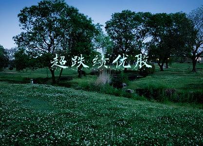 超跌绩优股低估值(超跌股大反攻，这些低估值绩优超跌股要爆发了？（附名单）)