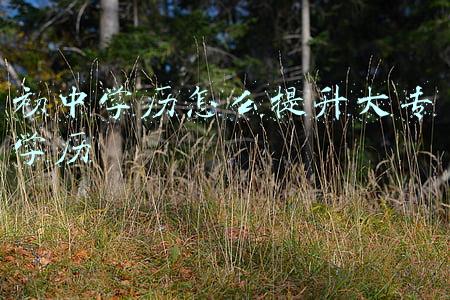 成人自考(北京一女子报名线上成人自考，缴费第二天就后悔了)