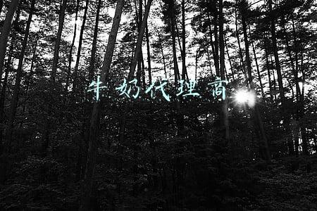 牛奶代理商