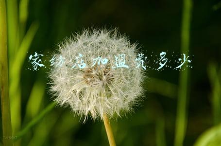 富安娜家纺加盟费多少：富安娜家纺加盟费