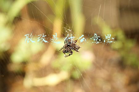 企业上市前股改是什么意思(浅谈公司股改)