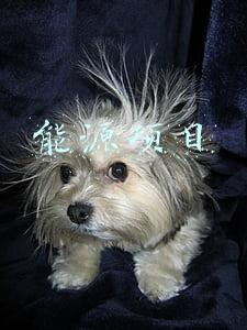 能源项目