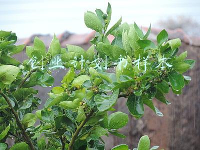 创业计划书样本 餐馆(特色餐厅创业计划书)