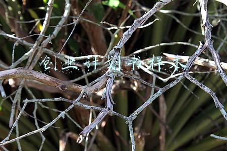 创业计划书样本下载(商业创业路演计划书模板)