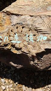 连锁店加盟网(连锁店经营管理你知多少？)
