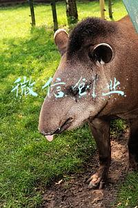 微信创业