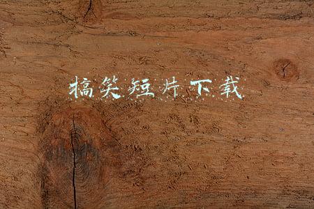 搞笑短片下载