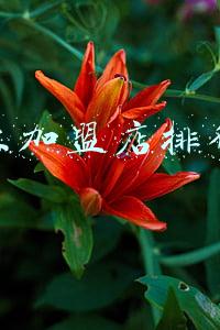 创业加盟店排行榜1688(分析近三年的便利店TOP榜单，我发现了一些秘密)