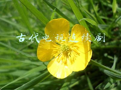 古代电视连续剧