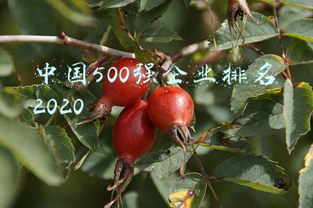 中国500强企业排名2020