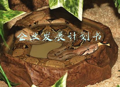 公司发展计划怎么写(2021公司战略规划模板，套用这个模板，轻松做出企业发展战略)