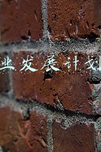 2020年企业发展计划书(动力源(600405.SH)2020年员工持股计划出售完毕)