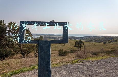 15岁考上北大的李晨简历