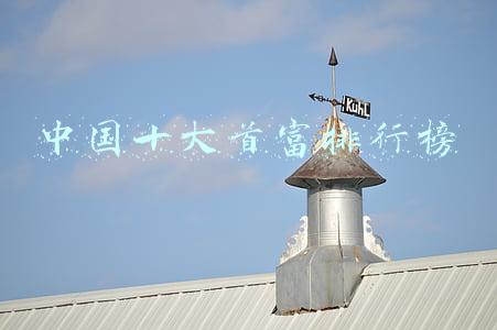 中国十大首富排行榜