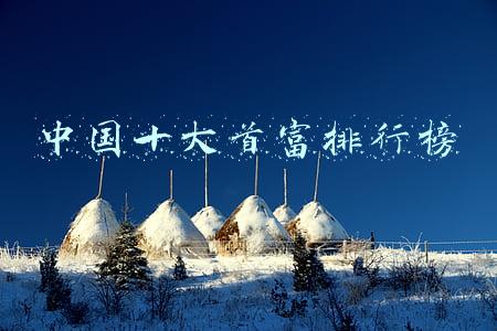 中国十大首富排行榜