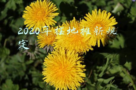 2020年摆地摊新规定