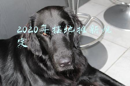 2020年摆地摊新规定
