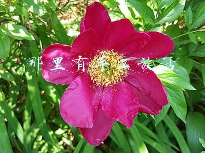 那里有手工放活