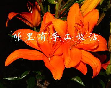 那里有手工放活 那里有手工放活