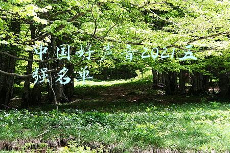 中国好声音2021五强名单排名(《浪姐3》5人导师团曝光，大湾区3人参赛，主持人一男一女不可信)