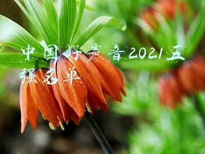 中国好声音2021五强名单谭轩辕(《好声音》11强人选曝出，四夺冠热门顺利晋级，韦礼安出局非冷门)