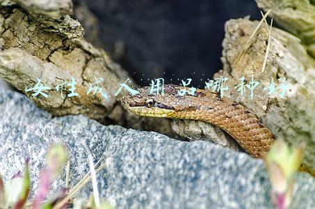 女生活用品有哪些(25款少女心爆棚的杂货小物！高颜值还巨实用)