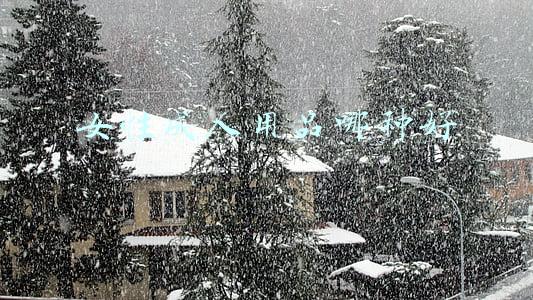 女性成人用品大全(“成人用品”销量剧增？女性购买力逐年增加，背后到底有啥原因)