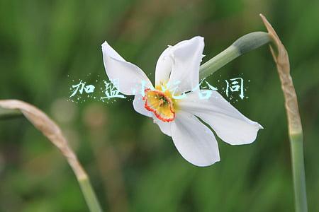 加盟小吃合同