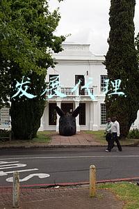 发展代理