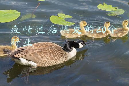 疫情过后爆发的20个行业