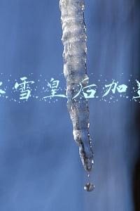 冰雪皇后加盟