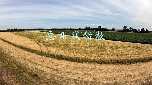 急用钱借款5万(兜兜转转借五万块钱)