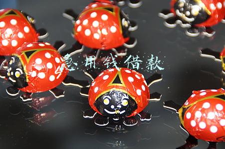 急用钱借款5000元(多少借款人深陷网贷泥潭不能自拔 记者调查网贷乱象)