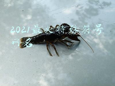 2021最火特殊符号网名