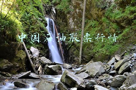 中国石油股票行情