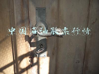 中国石油股票行情